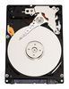 ������ ���� 160 GB WD (1600BEVT)  2.5