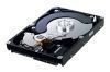 ������� ���� 1TB Samsung (HD103SI) 32MB CACHE